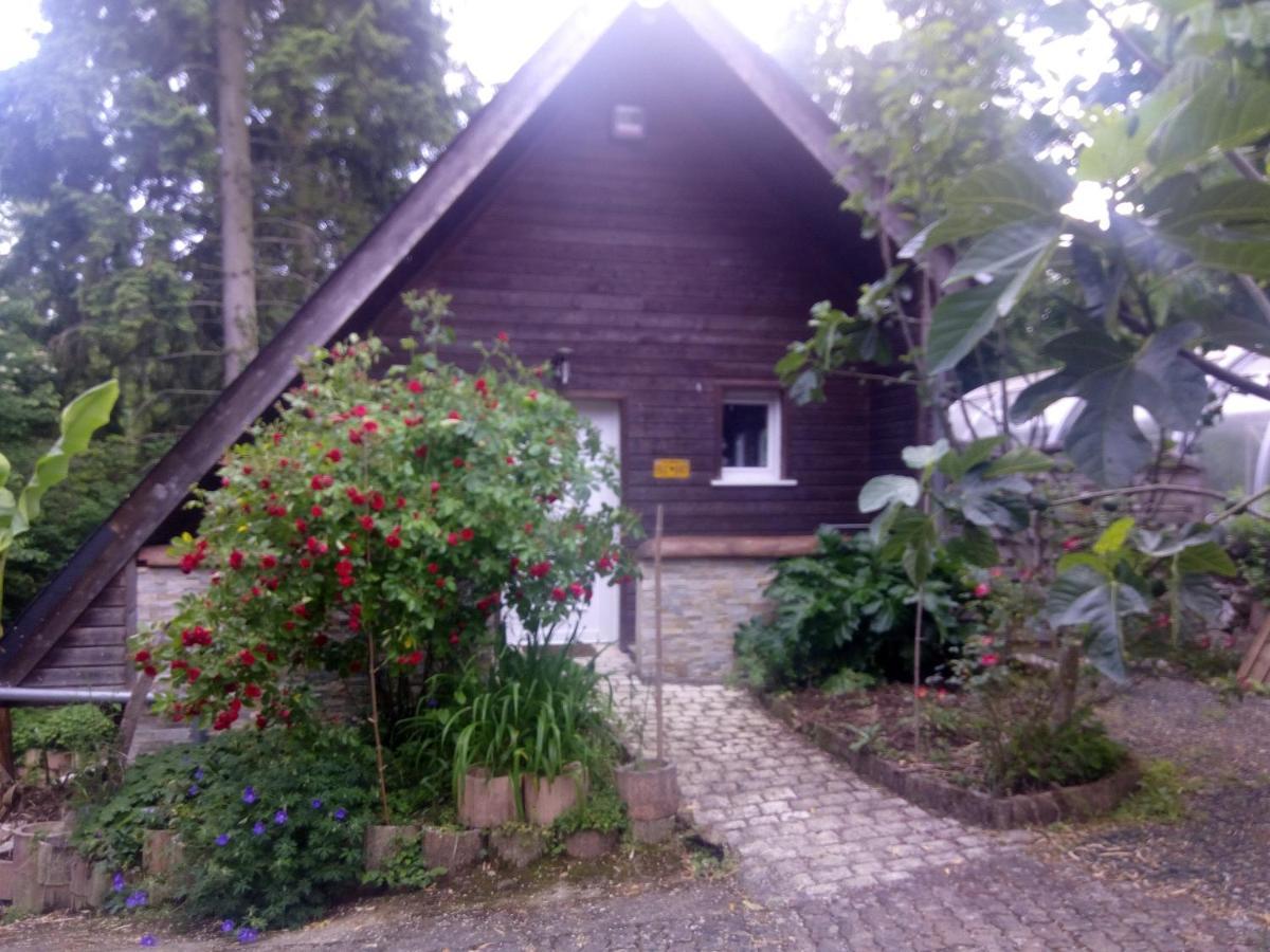 Maison Bois "Alaska" Rochecorbon Dış mekan fotoğraf
